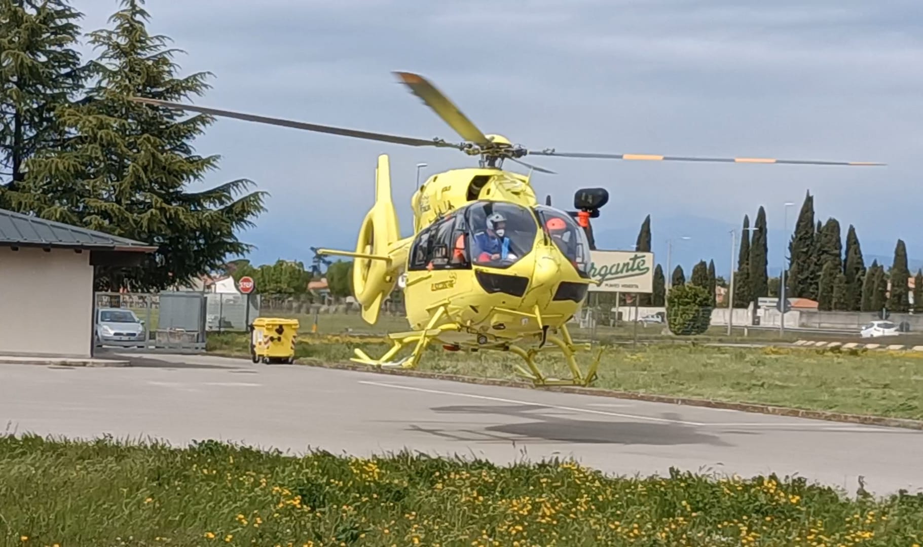 Immagine per Anziana cade dall'albero raccogliendo ciliegie, ferita a San Floriano